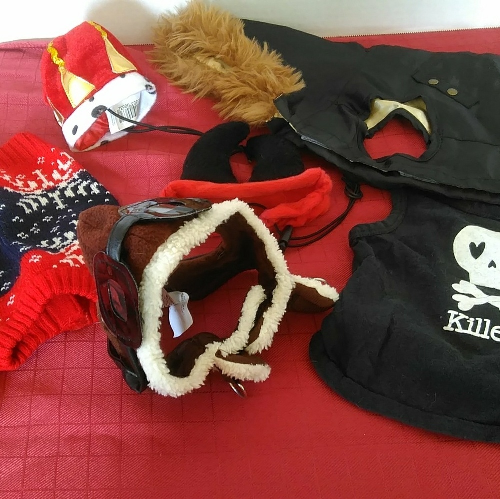 Small Dog Clothes